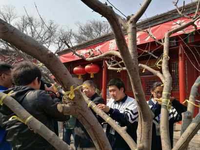 微信图片_20170405111310.jpg