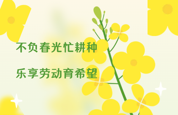 1717649619487.png